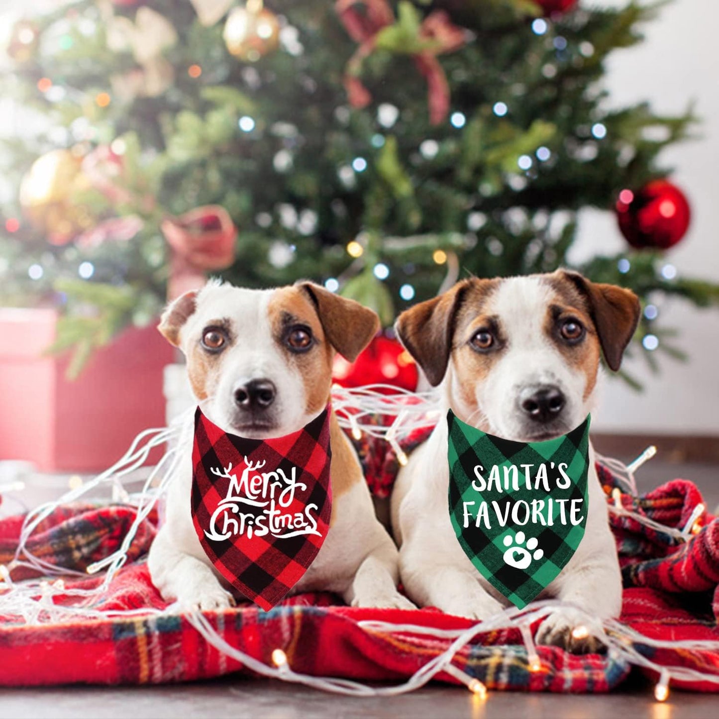 Holiday Plaid Dog Bandanas, 6 Pack Halloween Thanksgiving Day Christmas Dogs Bandana for Holiday Dog Puppy Costumes Decorations