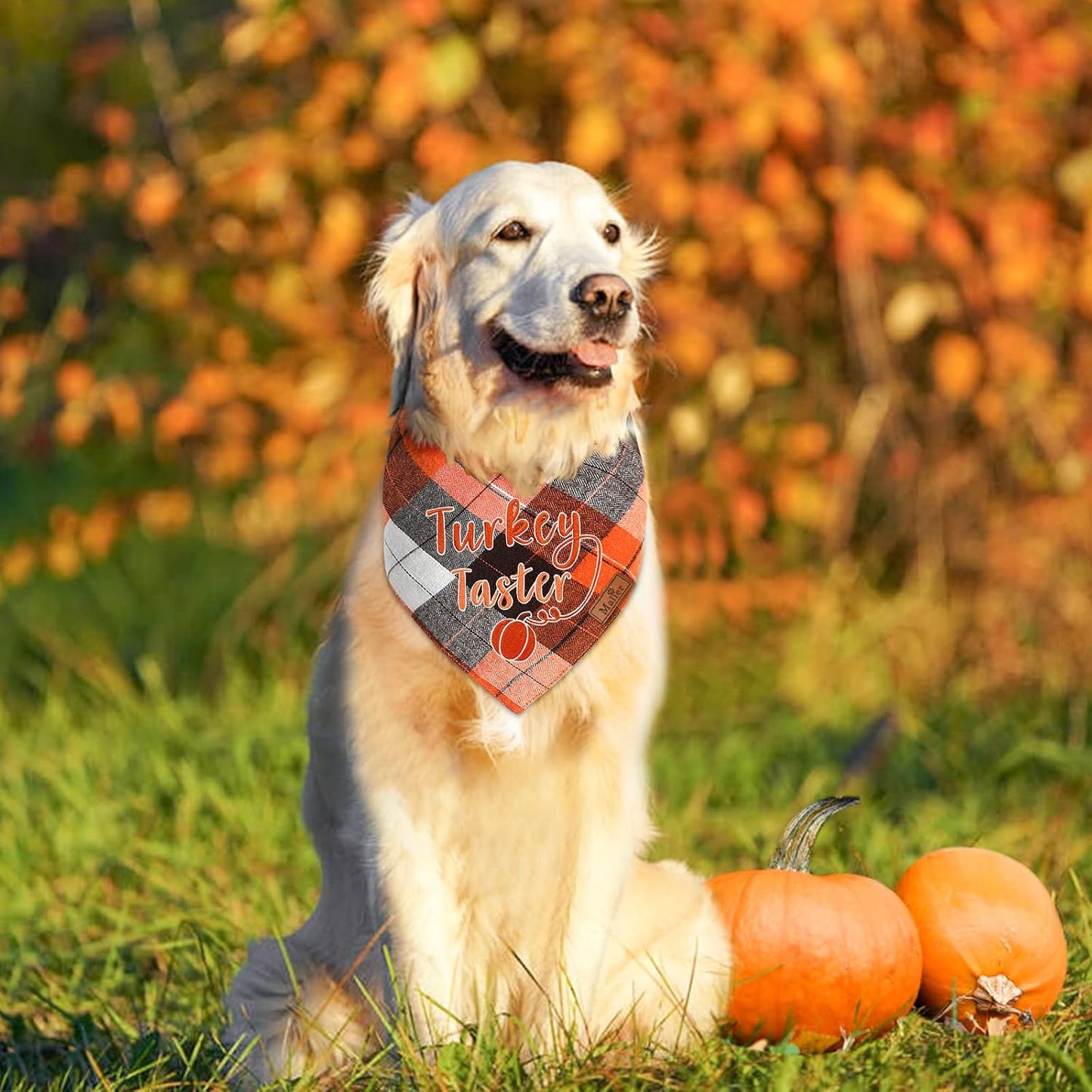 Holiday Dog Bandana, Halloween Thanksgiving Classic Plaid Pet Bandana Embroidered Scarf Triangle Bibs Kerchief Pet Costume Accessories for Small Medium Large Dogs Cats Pets (Small, Style 4)