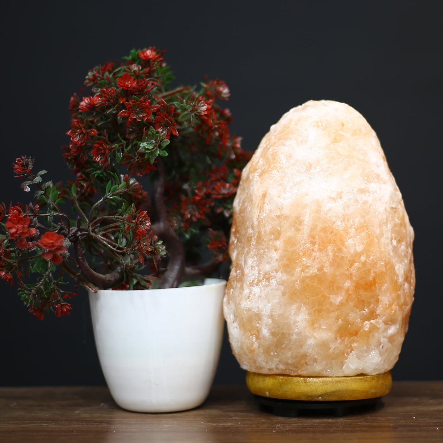 Harbor Home Natural Himalayan Pink Salt Lamp — Hand-Carved with Dimmer (5–7 lbs)