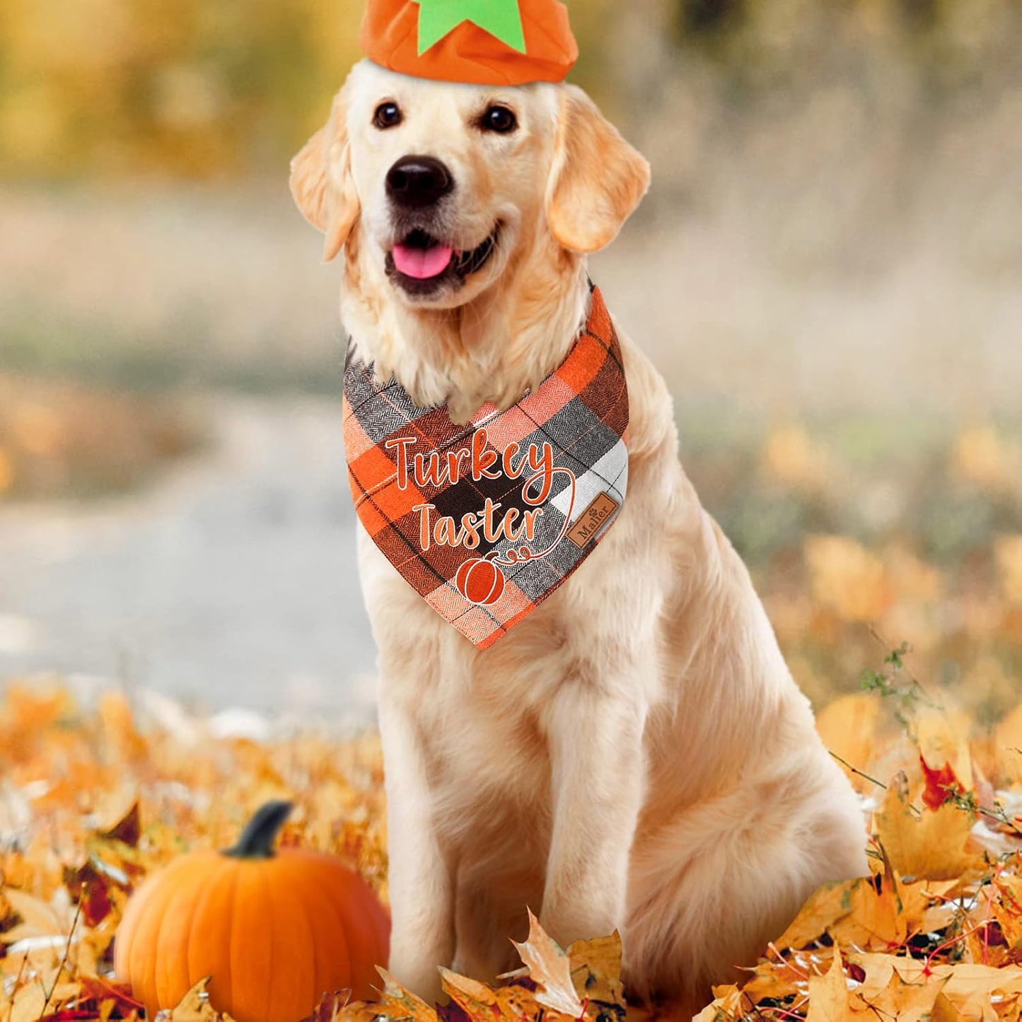 Holiday Dog Bandana, Halloween Thanksgiving Classic Plaid Pet Bandana Embroidered Scarf Triangle Bibs Kerchief Pet Costume Accessories for Small Medium Large Dogs Cats Pets (Small, Style 4)