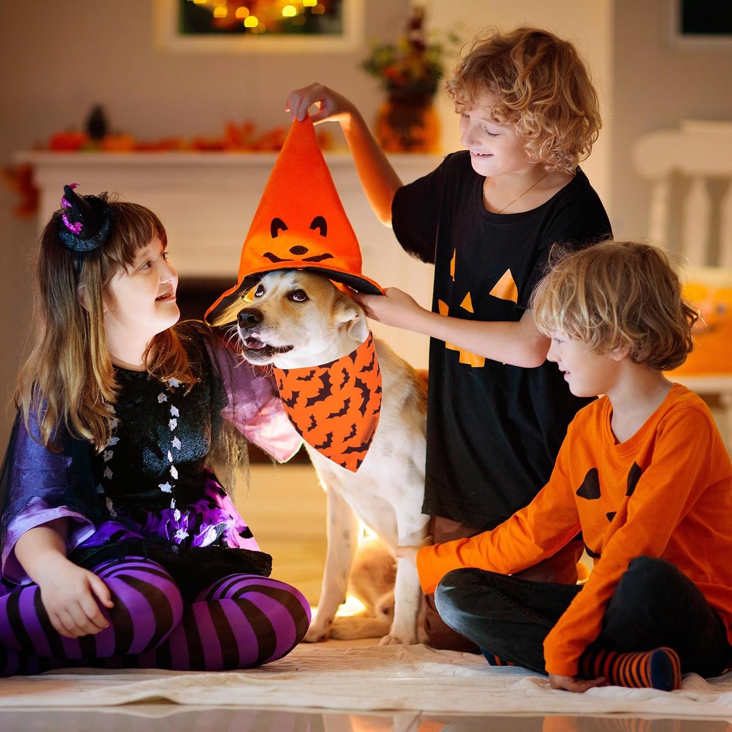 Halloween Dog Bandana, Pumpkin Bat Pet Scarf, Premium Durable Fabric, Orange Black Halloween Bandanas for Medium Large Dogs Pets (Large)