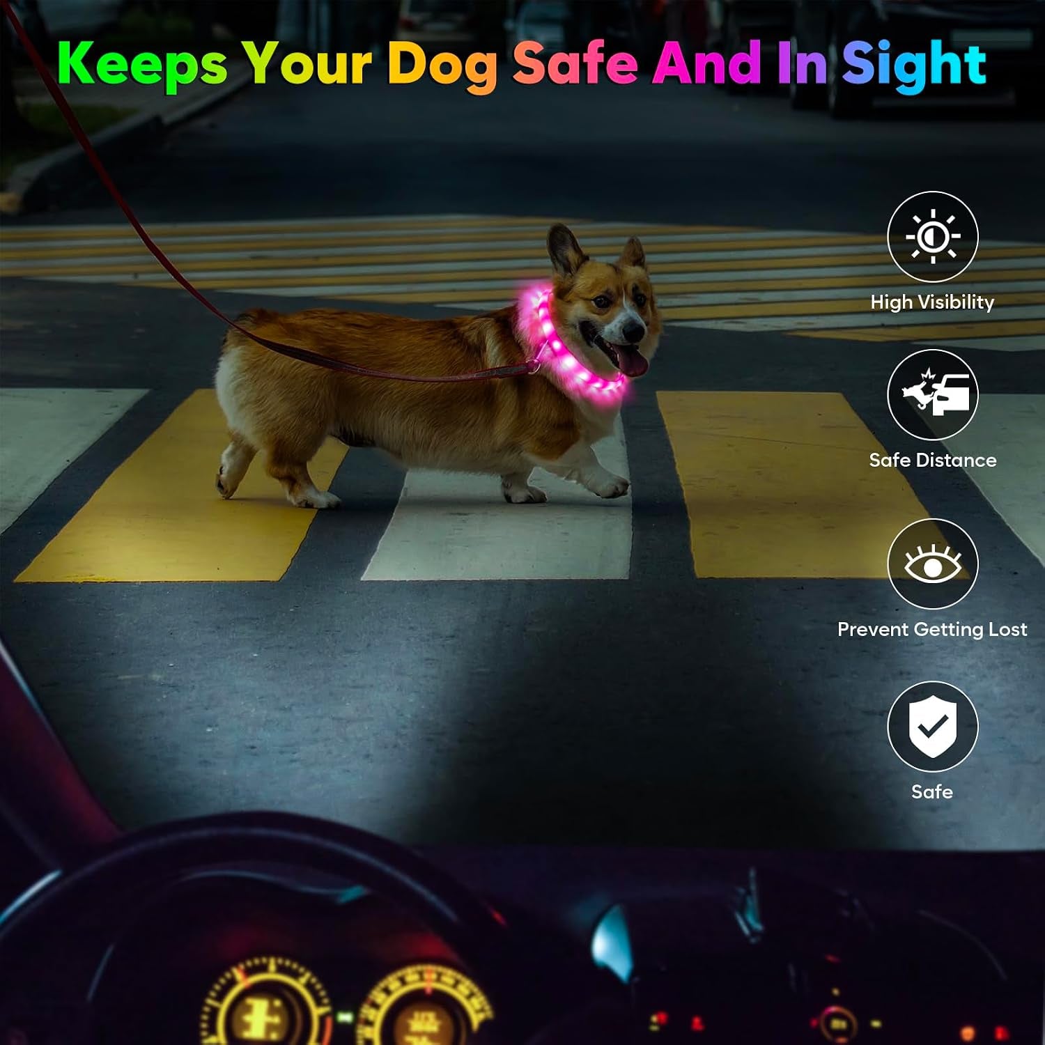 LED Dog Collar, USB Rechargeable Glowing Lighted up Collar, Cuttable Water-Resistant TPU Safety Collar Lights for Small Medium Large Dogs (Style 2)