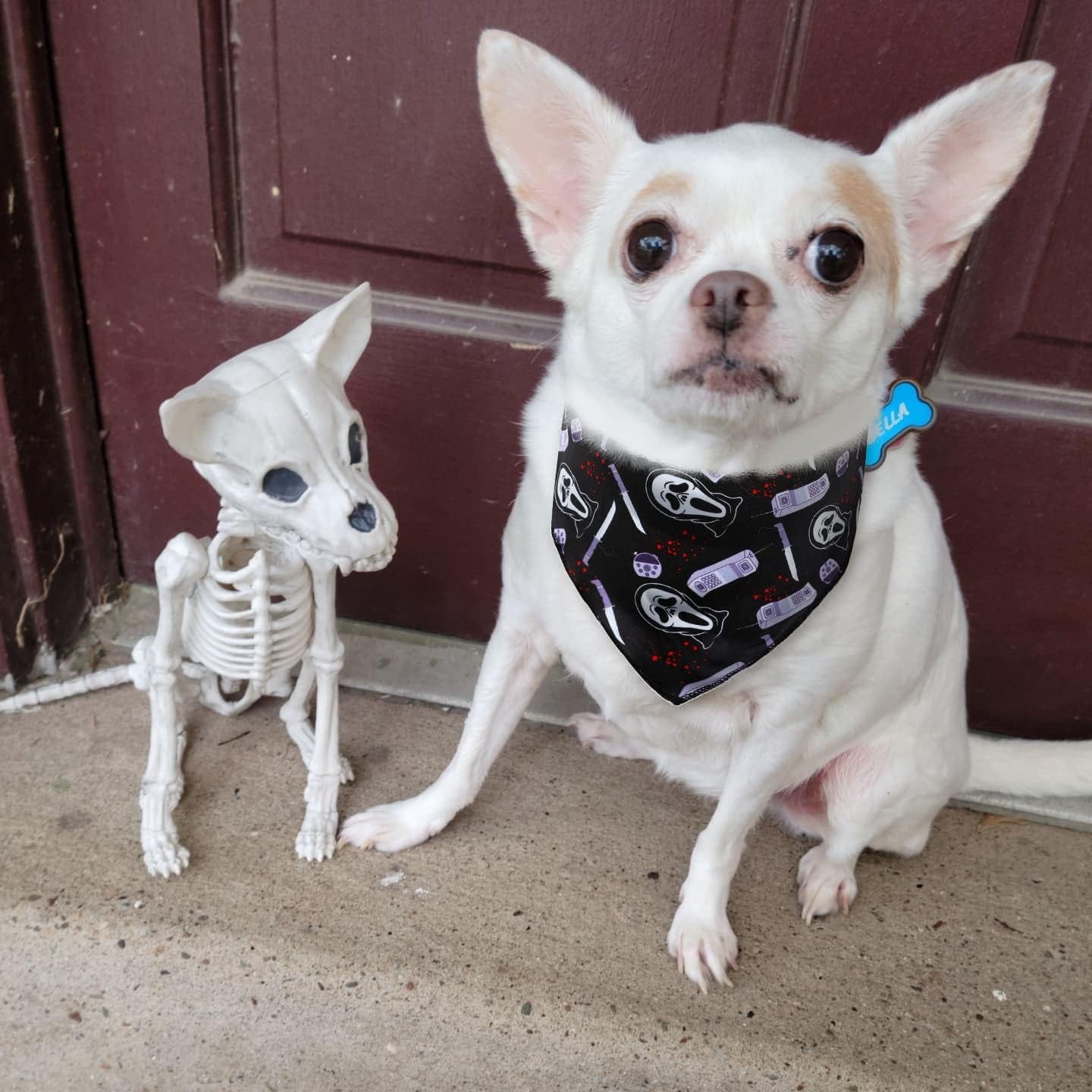 2 Pack Halloween Dog Bandana, Triangle Bibs Scarf for Small Medium Large Dogs Boy Girl, Cat Kerchief