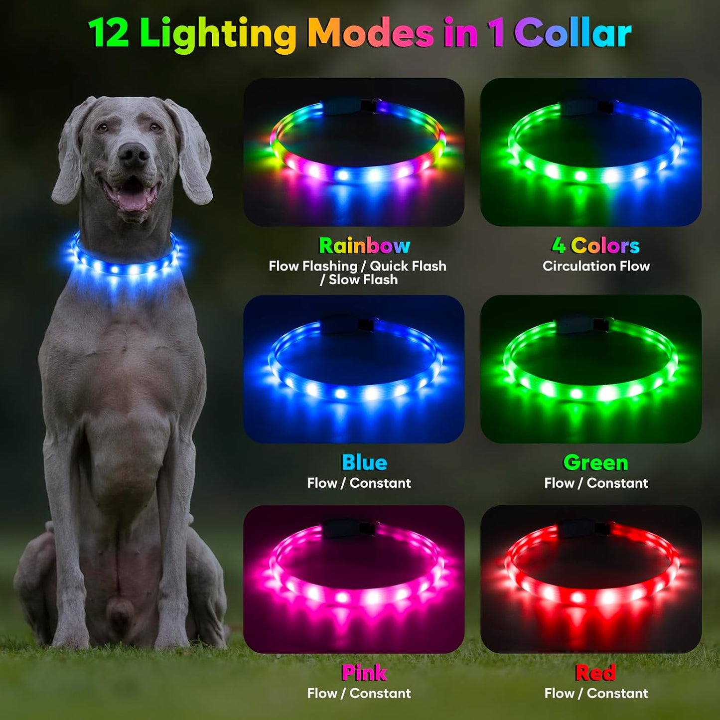 LED Dog Collar, USB Rechargeable Glowing Lighted up Collar, Cuttable Water-Resistant TPU Safety Collar Lights for Small Medium Large Dogs (Style 2)