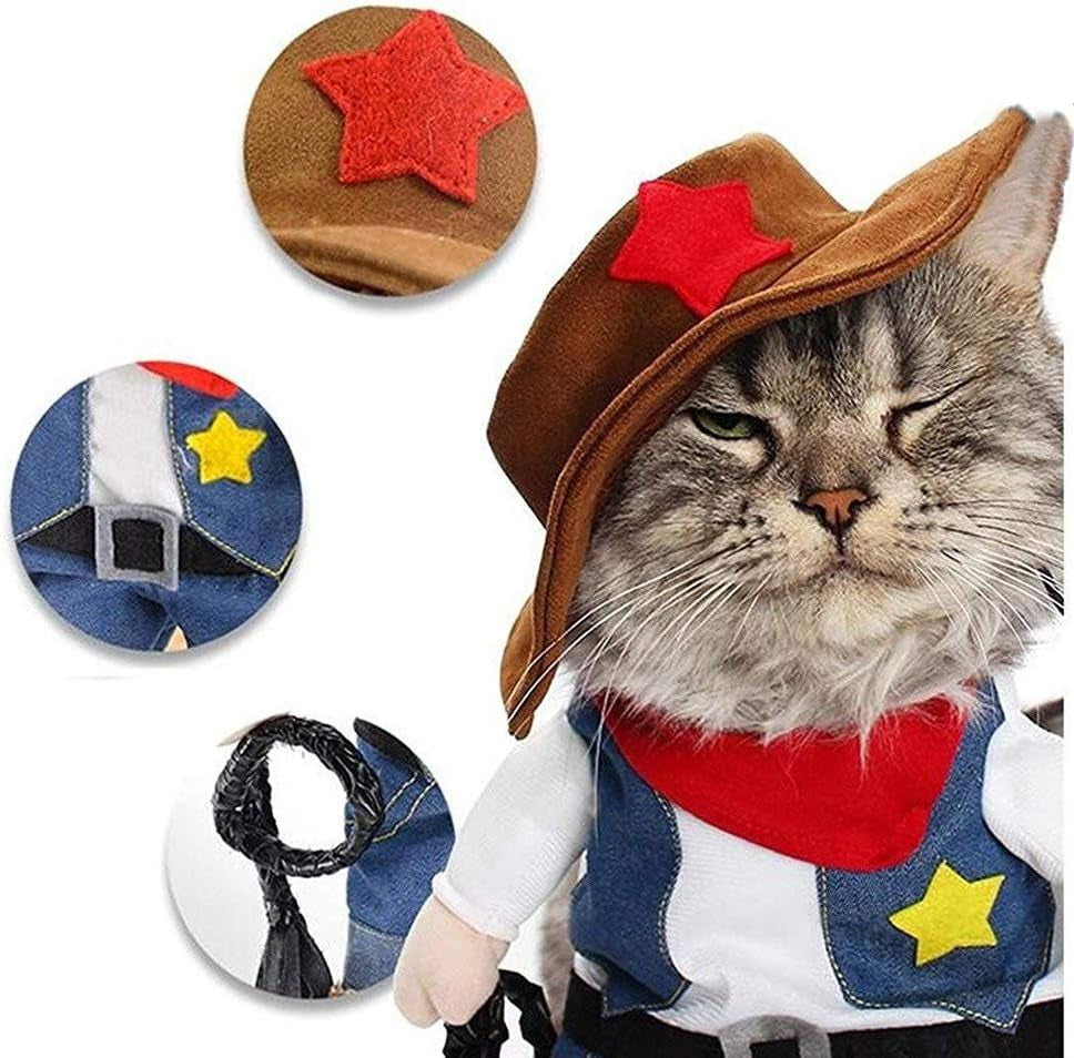 Cowboy Dog Costume worn by dog