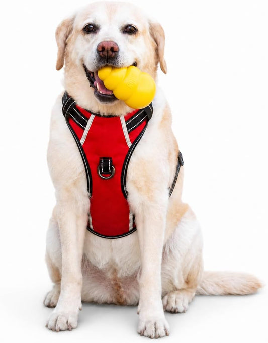 Large Dog Reflective No Pull Dog Harness with Handle