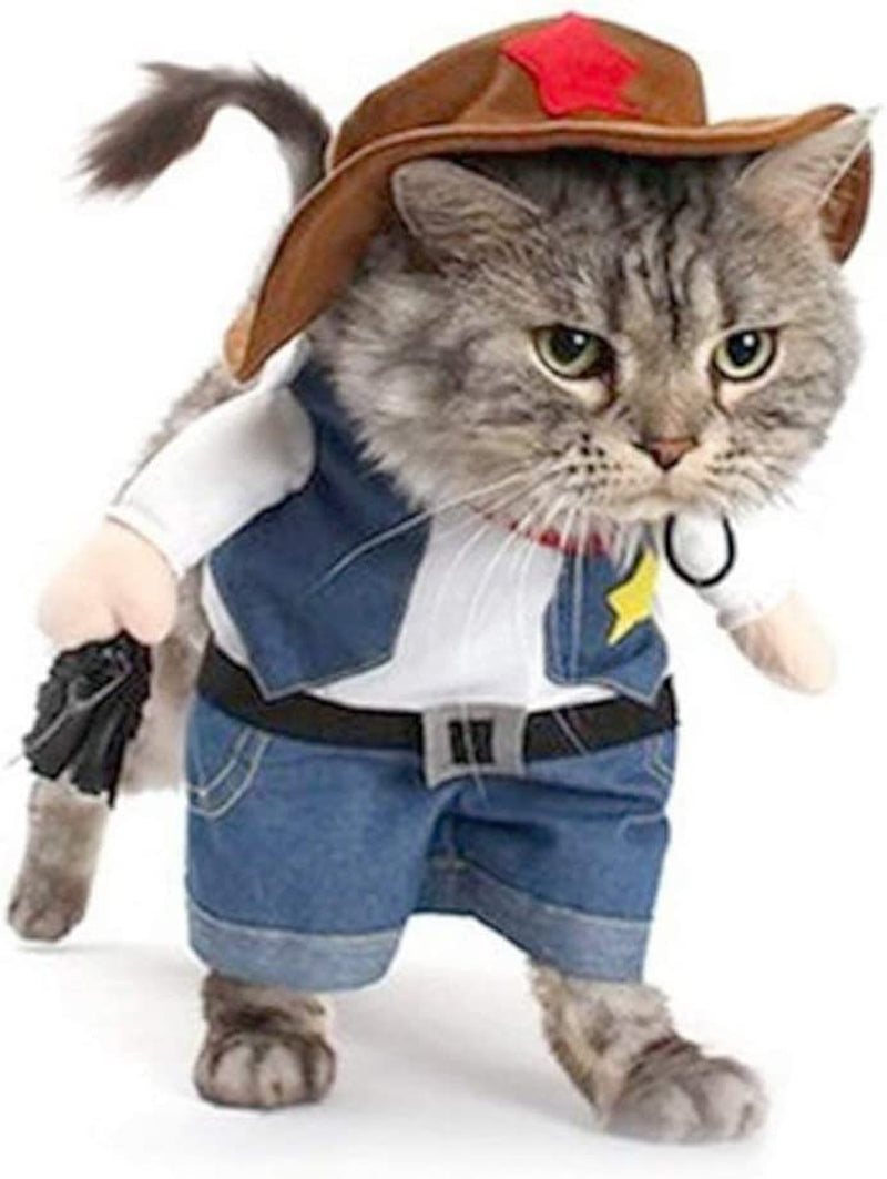 Cowboy Dog Costume with Hat