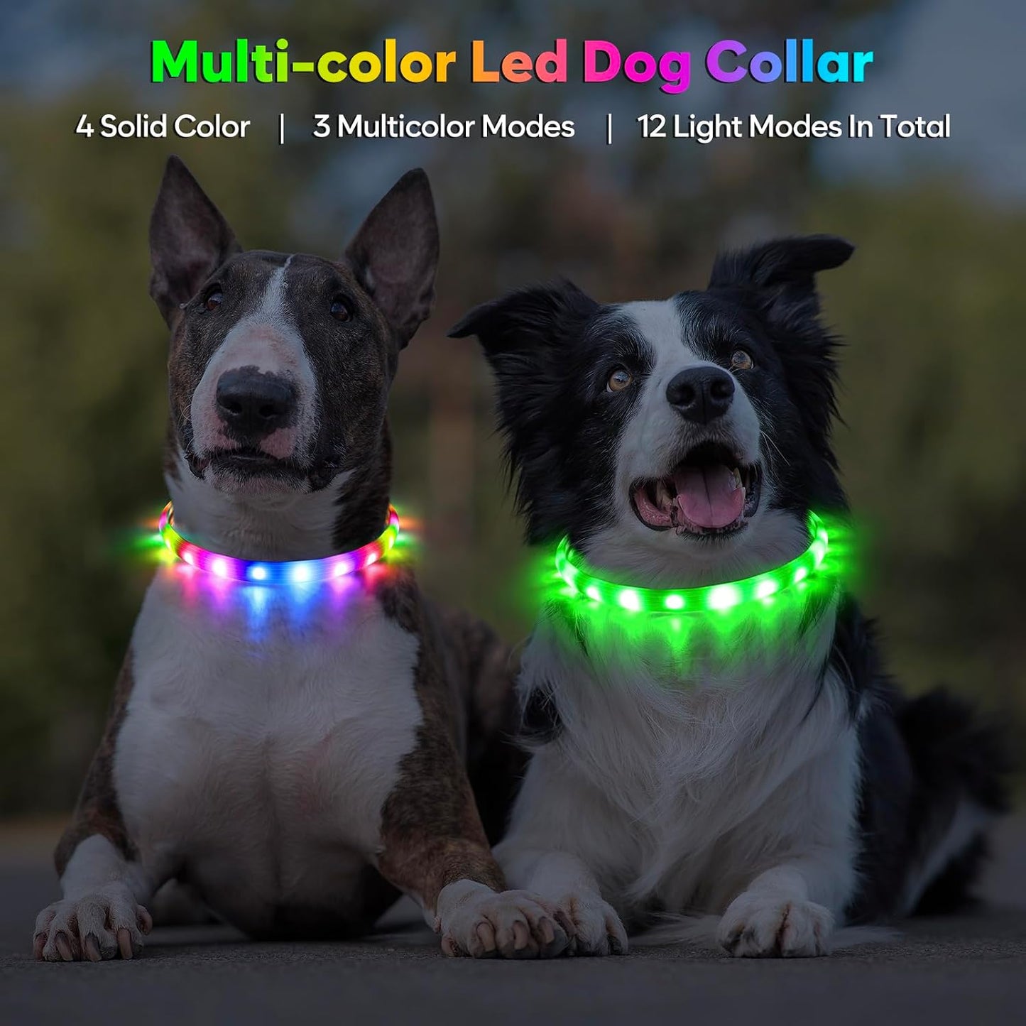 LED Dog Collar, USB Rechargeable Glowing Lighted up Collar, Cuttable Water-Resistant TPU Safety Collar Lights for Small Medium Large Dogs (Style 2)