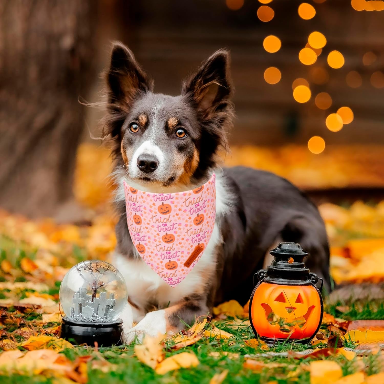 Pink Pumpkin Ghost Bandana worn by dog