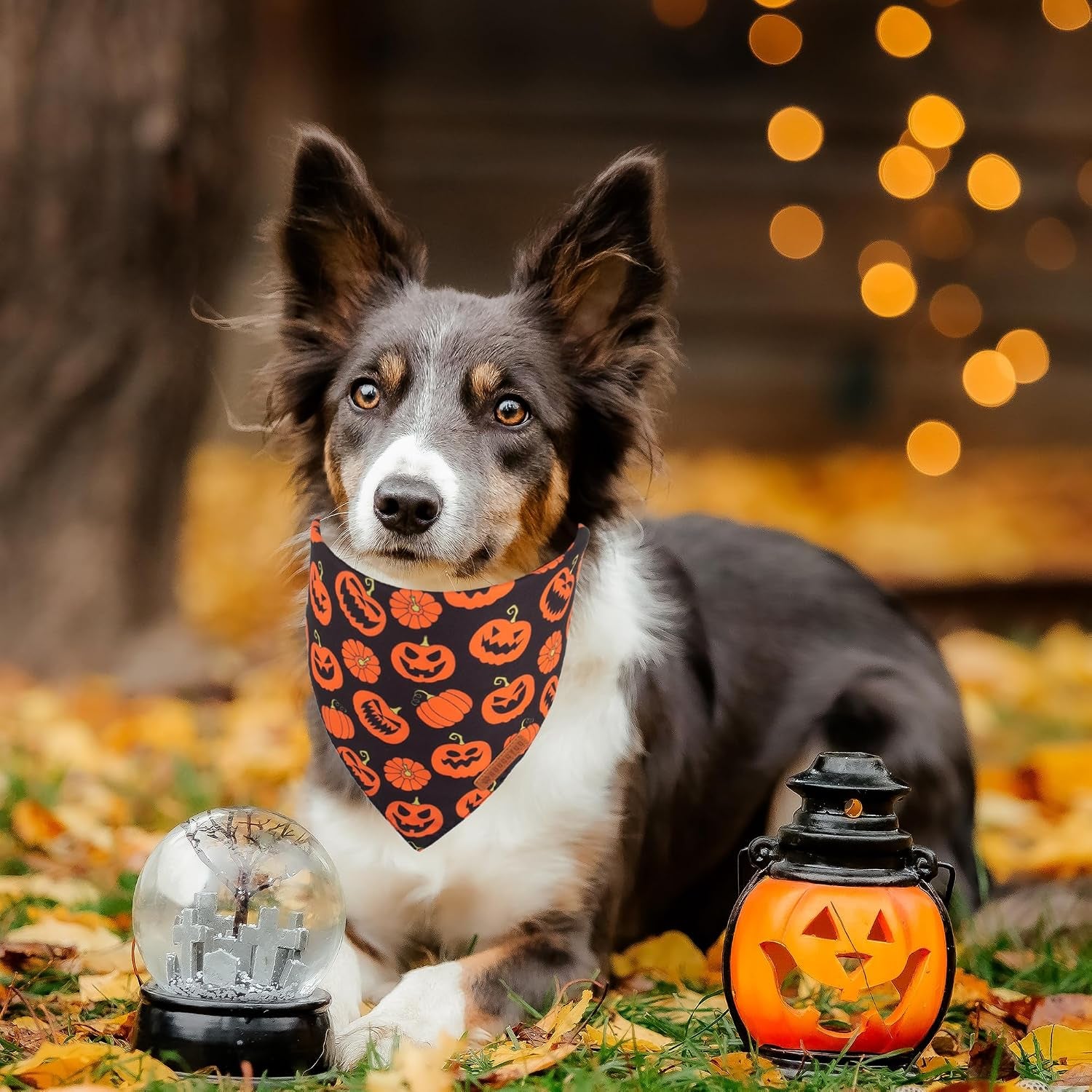 Halloween Dog Bandana, Pumpkin Bat Pet Scarf, Premium Durable Fabric, Orange Black Halloween Bandanas for Medium Large Dogs Pets (Large)